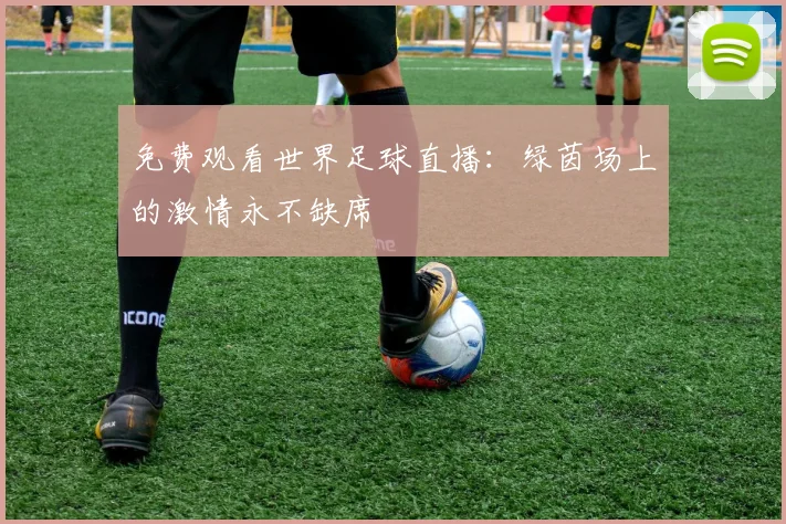 免费观看世界足球直播:绿茵场上的激情永不缺席