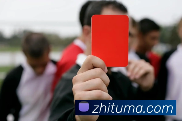 爱游戏官方网站服务体系